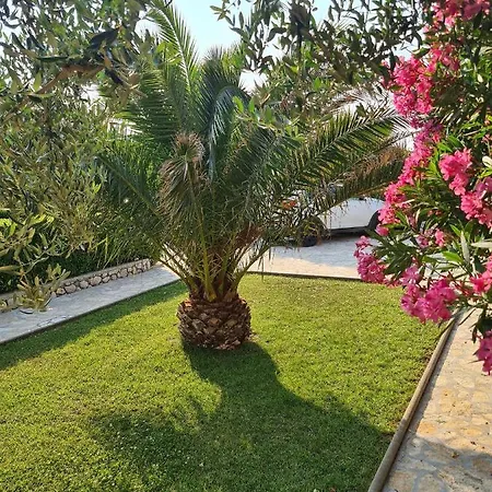Apartment Ivo Pag Town