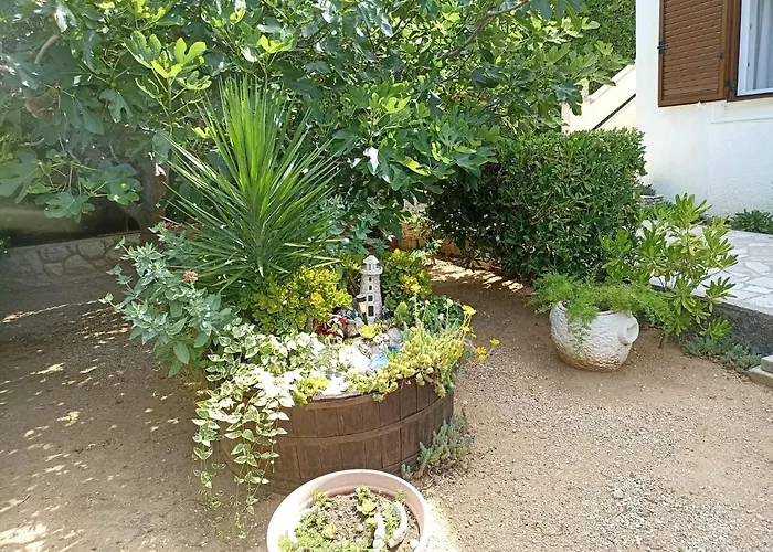 Ivo Apartment Pag Town